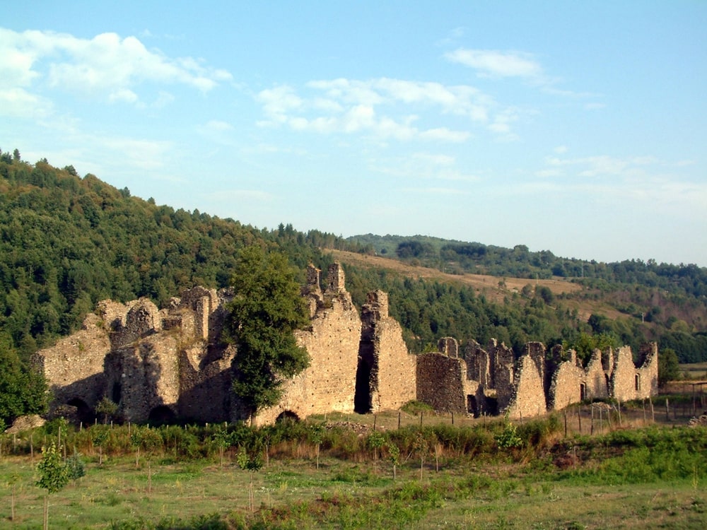 Rovine dell'Abbazia di Corazzo, XI-XII secolo, Carlopoli (Cz) - Image source