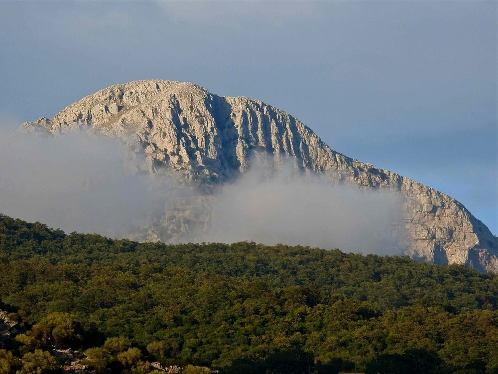 Foreste alle pendici del Monte Sellaro, Parco Nazionale del Pollino - Ph. Stefano Contin