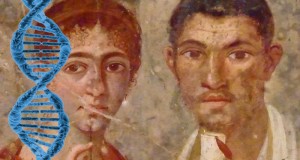 Pompei: sequenziato DNA di un antico abitante della città vesuviana, non nuova agli studi genetici