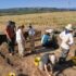 Torre Mordillo: il sito archeologico di Spezzano Albanese continua a svelare i suoi “segreti”. Nel 2027 si torna a scavare