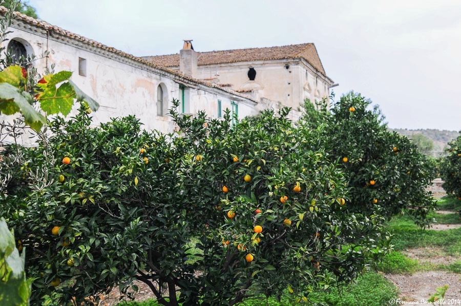 Calabria - La masseria 'Il Giardino di Iti' della baronessa Cherubini, in Contrada Amica, a Rossano (Cosenza)