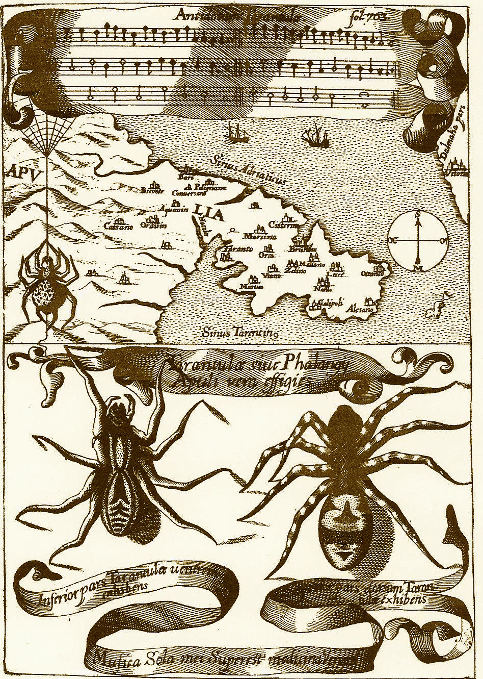 Antidotum-Tarantulae.-Dal-Magnes-sive-de-magnetica-arte-1644-del-P.-Atanasio-Kircher