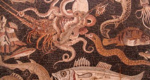 Lo Guarracino. Una guerra di pesci nel mare di Napoli. Il corto di Michelangelo Fornaro