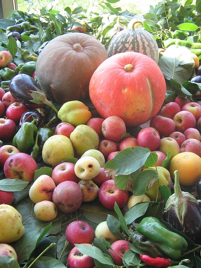 Frutta e ortaggi della tradizione ad Orsara di Puglia (Foggia)