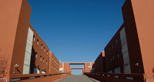 Unical: per il Censis seconda Università d’Italia e migliore del Sud