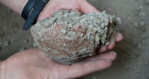 Ritrovate decine di vasi crudi a Pompei: l’eruzione del Vesuvio interruppe l’opera del vasaio