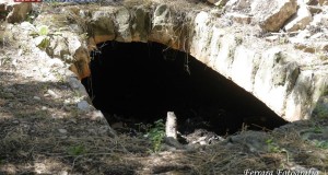 Ritrovato misterioso sotterraneo nel bosco adiacente a Castel del Monte. Realtà di antiche leggende o semplici strutture di servizio?