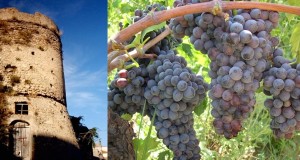 Cirò Città del Vino. Il Lions Club “Krimisa” lancia la segnaletica stradale turistico-culturale per valorizzare la produzione vinicola