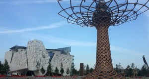 Spunti di riflessione su Expo Milano 2015, fra obiettivi di sostenibilità e sprechi