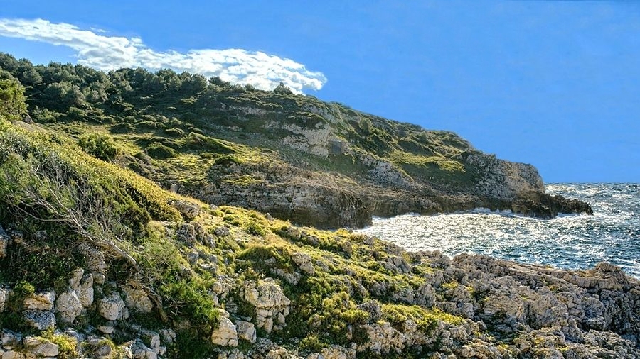 Puglia - Il tratto costiero su cui si affaccia la Grotta del Cavallo - Ph. Reeva Baumann 