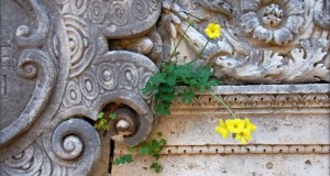 Pietre fiorite a Messina, nello scatto di David Evers