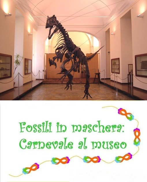 museo paleontologia napoli-vert