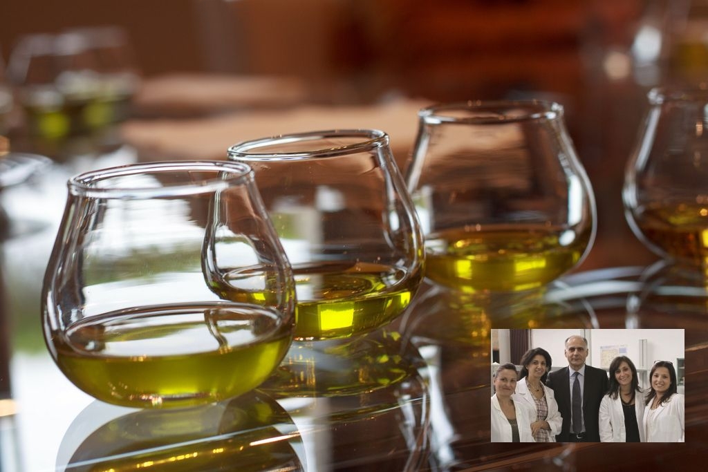 olive oil - pezzi equipe