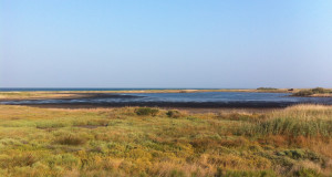 Legambiente Puglia denuncia lo stato di abbandono del Parco regionale Saline di Punta della Contessa a Brindisi: «Subito Piano di Gestione per valorizzare l’area protetta»