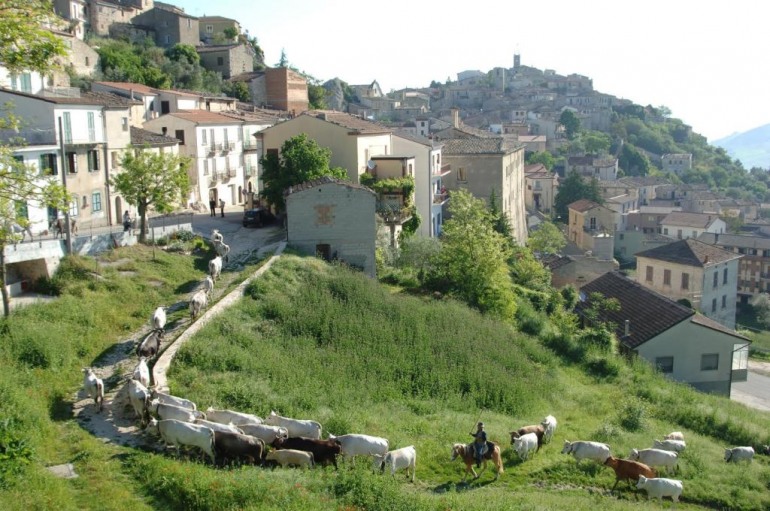 Uno dei momenti della transumanza, che attraversa campagne, borghi e monti