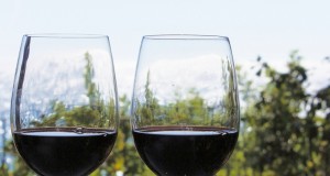 Dodici etichette abruzzesi fra i migliori vini d’Italia secondo VITAE, la Guida Vini 2015 pubblicata dall’AIS