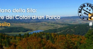 #WELIKESILA: quattro giorni di blog tour per raccontare tutti i colori del Parco Nazionale della Sila